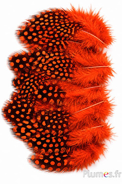 Parelhoen - 3-6 cm - oranje rood